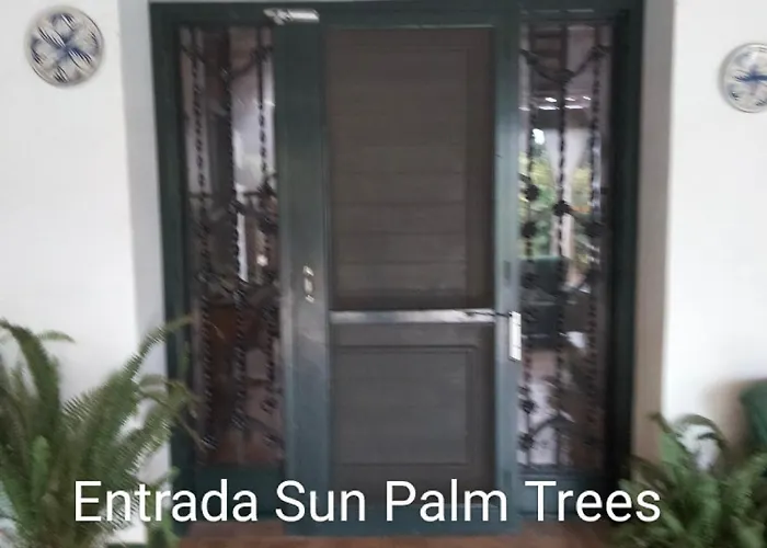 Sun & Palm Trees