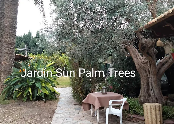 Accommodatie bij particulieren Sun & Palm Trees