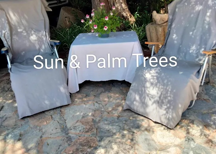 Sun & Palm Trees Balsares