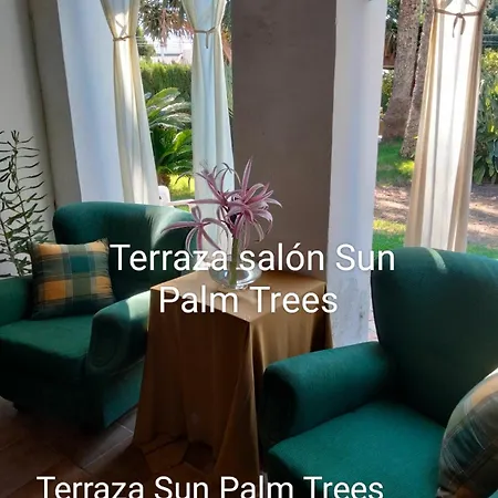Sun & Palm Trees *