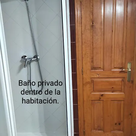 Sun & Palm Trees * Balsares