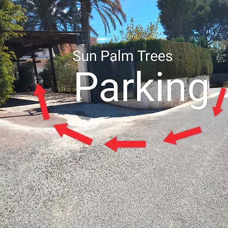 Sun & Palm Trees Balsares