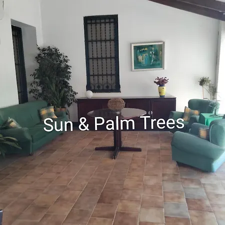 Sun & Palm Trees منزل للإقامة