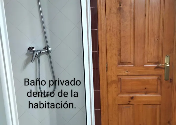 Sun & Palm Trees * Balsares