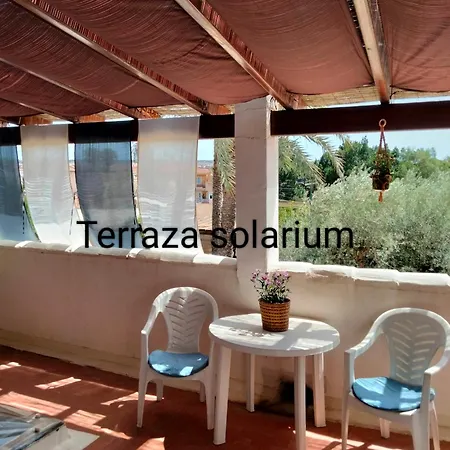 Sun & Palm Trees * Balsares