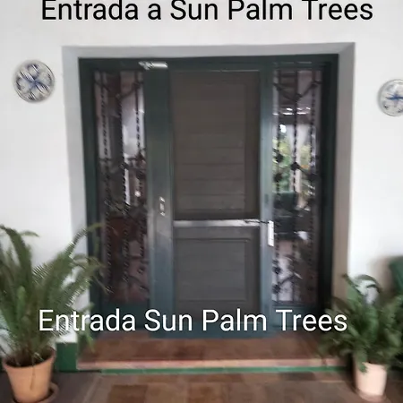 Sun & Palm Trees