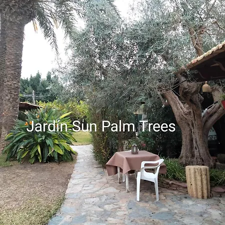 홈스테이 Sun & Palm Trees