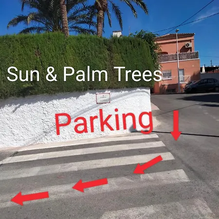 Sun & Palm Trees