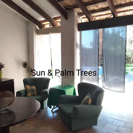 Sun & Palm Trees Privatunterkunft