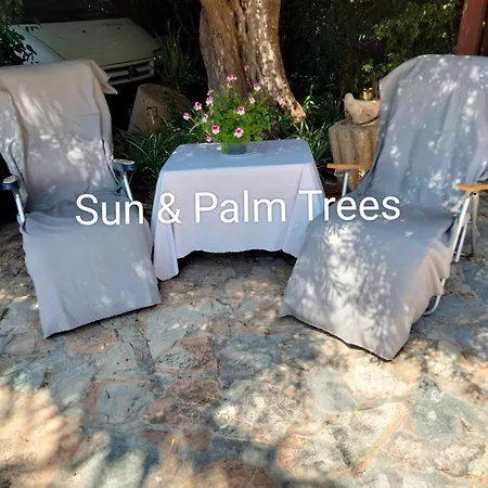 Sun & Palm Trees Balsares