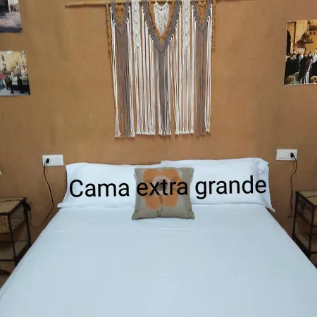 Sun & Palm Trees * Balsares