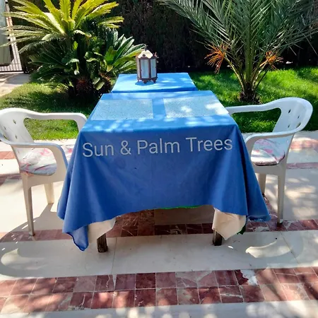 Sun & Palm Trees Balsares