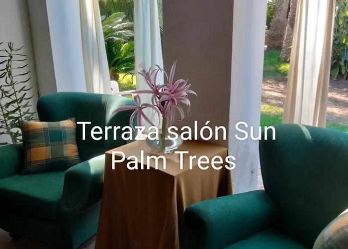 Sun & Palm Trees *