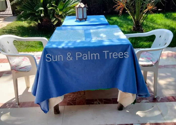 Sun & Palm Trees Balsares