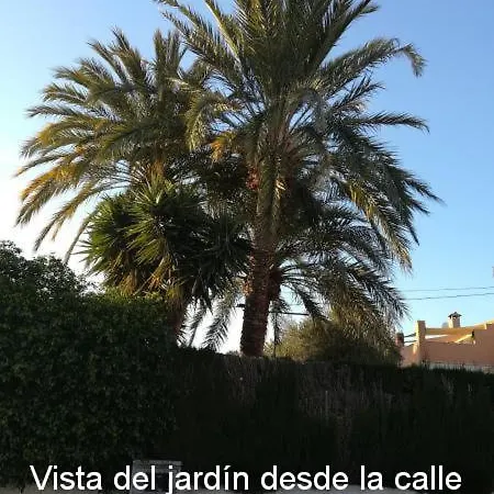 Sun & Palm Trees Homestay Balsares