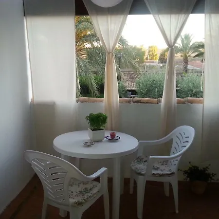 Homestay Sun & Palm Trees *