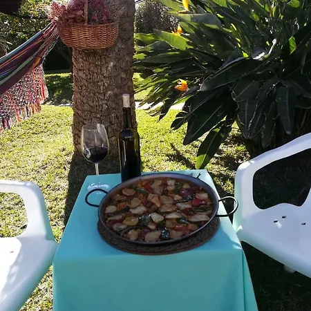 Sun & Palm Trees Homestay Balsares
