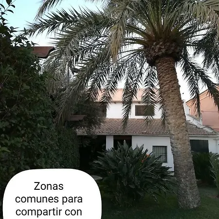 Homestay Sun & Palm Trees *