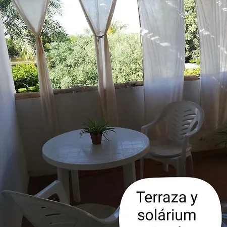 Homestay Sun & Palm Trees *